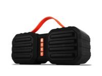 ZEBRONICS Sound Feast 50, 14 W Portable Speaker Supporting Bluetooth, Pendrive Slot, mSD Card, FM, Call Function (Black)