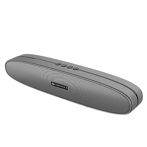 Zebronics Astra 30 Portable Bluetooth Speaker with 14W Output Power, TWS Function, Dual Passive Radiator, Dual 52mm Drives, FM, AUX, USB, mSD (Silver)
