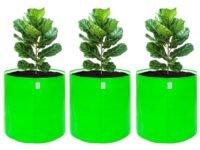 ANANDI GREEN'S Premium HDPE Uv Protected 260 GSM Round Green Colour Plant Grow Bag Suitable for Terrace and Vegetable Gardening Size 15X18 INCH Pack of 3