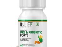 INLIFE Prebiotic and Probiotics Forte Supplement for Men & Women 25 billion CFU with 14 Strains | Digestion Gut & Immunity Health Supplement - 60 Vegetarian Capsules