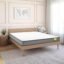wakeup INDIA Latex Foam Mattress Queen Size 78x60x6 Inches | PureLuxe 6 inch Queen Bed Softy Firm Mattresses | 10 Years Warranty | Dual Comfort Orthopedic Mattress (White Colour)