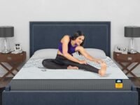 Centuary Mattresses Sleepables 6-Inch Double Size Ortho Pocketed Zero Partner Disturbance Plush Quilted Rolled Packed Pocket Spring Mattress (78x48x6)