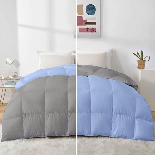 Razzai 500 GSM Winter Comforter Premium Collection Quilted Revesible Comforter (92" x 106" Inches/233cm x 269cm) - King Size Comforter|Silver/Sky Blue