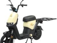 EOX OLO Electric Scooter for Adults with Powerful Motor, Lithium Battery, 40km Range, Digital Meter, Tubeless Tyres, Anti-Theft Lock System, 120 KG Weight Support (Non RTO Vehicle with Carrier)