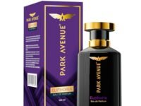 Park Avenue Euphoria, Eau De Parfum Men, 100ml | Long Lasting Perfume for Men | Diwali Gift | Premium Luxury Fragrance Scent | Aromatic Blend of Amber & Musk | Suitable for Every Occasion