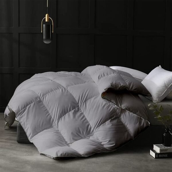 Razzai Double Comforter 500 GSM Winter Comforter Premium Collection Quilted Comforter (90" x 100" Inches/228cm x 254cm) - Double Bed Comforter|Silver | Microfibre, Lightweight