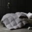 Razzai Double Comforter 500 GSM Winter Comforter Premium Collection Quilted Comforter (90" x 100" Inches/228cm x 254cm) - Double Bed Comforter|Silver | Microfibre, Lightweight