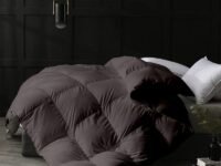 Razzai Single Comforter 500 GSM Winter Comforter Premium Collection Quilted Comforter (60" x 90" Inches/152cm x 228cm) - Single Bed Comforter|Dark Grey | Microfibre, Lightweight