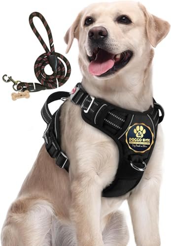 Doggo Bite Premium Reflective Dog Vest Harness| Soft Breathable| Padded Handle| Adjustable Straps & Dual Lock Buckle| No-Choke Design with Free Leash-12mm Chest (22-30 inch) All Medium Breeds 12-27 Kg