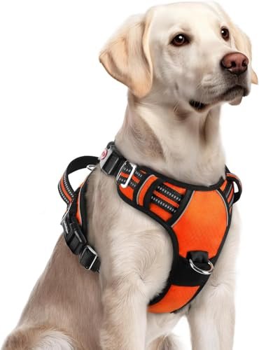 Doggo Bite Premium Reflective Dog Vest Harness| Soft Breathable| Padded Handle| Adjustable Straps & Luxury Buckle| No-Choke with Free Designer Leash-32mm| Chest (26-33 inch) All Large Breeds 23-35 Kg