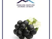 Mystique Hills Elderberry Powder 100 g