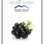 Mystique Hills Elderberry Powder 100 g