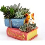 One Way Decor Cute Puppy with Book Shape Resin Pot Design Resin Succulent Pots Resin Planter Succulent Pot Succulent Indoor and Outdoor Pot Pen Holder with Hole, 1 Piece (Without Plant)