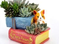 One Way Decor Cute Puppy with Book Shape Resin Pot Design Resin Succulent Pots Resin Planter Succulent Pot Succulent Indoor and Outdoor Pot Pen Holder with Hole, 1 Piece (Without Plant)