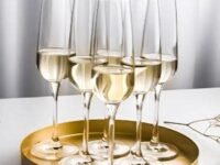 PrimeWorld Classy Crystal Clear Champagne flute-200ml-1piece Clear Stemmed Champagne Flute Glasses, Mimosa Glasses Perfect for Anniversary, Party, Wedding