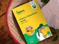UGAOO Cherry Tomato Vegetable Seeds (Yellow, Pack of 200mg, 50 Seeds)