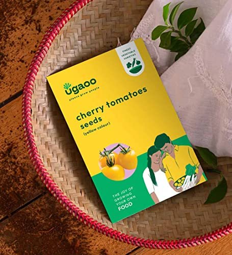 UGAOO Cherry Tomato Vegetable Seeds (Yellow, Pack of 200mg, 50 Seeds)