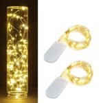 XERGY 20 LED 2 Meter Long Battery Powered Decoration Starry String Lights Operated by 2xCR2032 with Large Beads Copper Wire for DIY Valentine Gift (Warm White) - Pack of 2