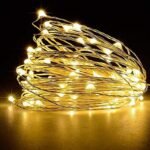 fizzytech 3 Meter 30 Led Fairy String Lights Battery Powered Copper Wire Lights of Home Decoration,Diwali Lighting Festival Rice Fairy Lights, Warm White,3 Meters