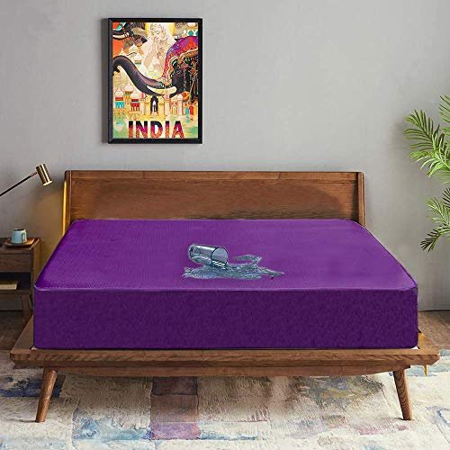 Trance Cotton Feel Terry Ultra Soft Waterproof Mattress Protector | Breathable - Hypoallergenic Mattresses Cover (75x72 inch | 6.25x6 feet,Plum - Pack of 1)