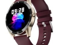 Fire-Boltt Talk Bluetooth Calling Smartwatch, 1.39" TFT Display with Dual Button, Hands On Voice Assistance, 120 Sports Modes, in Built Mic & Speaker (Talk, Wine)