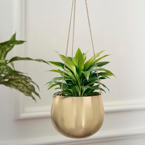 DecorTwist® Hanging Planter 3.7 Inch Pack of 1 | Metal Planter Indoor Outdoor Hanging Baskets | Hanging Flower Pot with Chain for Balcony Living Room Plant Hangers for Home Garden Decor (Gold)