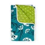 Divine Casa 120 GSM Microfiber Blanket Single Bed Reversible Lightweight Sofa Throw Blanket for Winter Dohar - (140 x 210 CM, Blue and Lime Green)