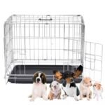 Doggo Bite DB SL Series 18-Inch (18Lx12Wx16H) Foldable Metal Pet Crate/Cage/Carrier – Spacious & Secure for 1-4 kg Puppies/Kittens, Free Removable Tray, Glove, Slicker Brush & 200ml Bowl – Silver