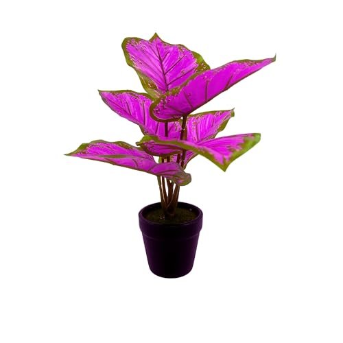 Tdas Artificial Plants For Home Decor Small Size With Pot Item Living Room Plastic Palm Tree Fake Plant Leaves Balcony Office Bamboo Decoration Decorative Decors 25 Cm (Design3, Purple)