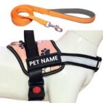 PAYTON PERRY Customized Dog Harness with Leash | Dog Harness with Name | Personalized Dog Vest Harness, No Pull, Adjustable (XS, Pink, for 2-5 Kilograms Dogs)