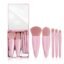 Gleva 5 Pcs Travel Friendly Mini Makeup Brush Set, Compact Size Cosmetic Brushes Set With Hardcase & Built-in Mirror, Makeup Foundation Powder Concealer Eyebrow Eyeshadow Brushes Kit for Women (Pink)