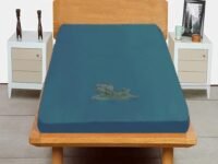 Trance Cotton Feel Terry Ultra Soft Waterproof Single Small DIWAN Size Mattress Protector | Breathable - Hypoallergenic Bed Protector (72x30 inch | 6x2.5 feet, Teal - Pack of 1)