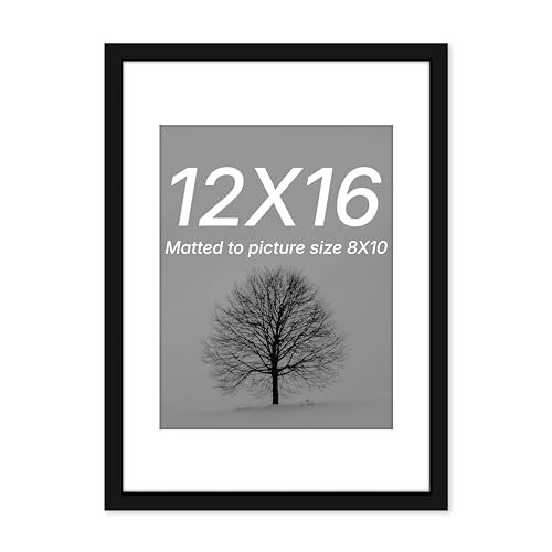 Art Street Synthetic Document Large Size Wall Photo Frame, Big Frames For Wall Artwork, Certificates, Picture & Photographs Home Decor(12x16 Inch, Matted To 8x10 Inch, Black)