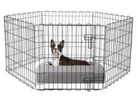 Midwest Homes for Pets Foldable Metal Pet Dog Exercise Fence Pen with Gate - 60 X 60 X 24 Inches, Suitable for All Types of Small Breeds, Puppies