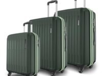 Safari Genius Alley Set of 3 (Cabin + Medium + Large) Trolley Bags Hard Case Polypropylene, 4 Wheels, 360 Degree Wheeling Luggage, Suitcase for Travel, Trolley Bags for Travel, Deep Forrest