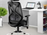 ASTRIDE Ergofit Ergonomic Office Chair for Home | 3-Years Warranty | 2D Headrest, Adjustable Arms & Lumbar Support | Tilt Lock Mechanism [Heavy Duty Chromium Metal Base, Black]