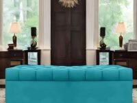 AMATA Eagle 2 Seater Ottoman/pouffe Sky Blue Suede Velvet Fabric Perfect for Home Living Office Room and Guests (Sky Blue 3, 2 Seater)(3 Year Warranty)