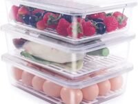 Raawan Fridge Storage Boxes(Pack of 4) Fridge Organizer with Removable Drain Plate & Lid,Stackable Portable Freezer Storage Containers Tray To Keep Fresh for Fish,Meat,Vegetables,Fruit(2500ml,Plastic)