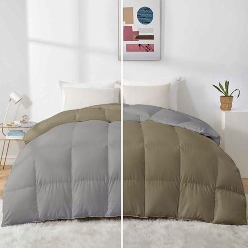 Razzai 500 GSM Winter Premium Collection Quilted Reversible Comforter - Queen Size (90" x 90" Inches/228cm x 228cm) Silver/Beige TC-400