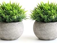 Dekorly 2 Pcs Fake Plants for Bathroom/Home Office Decor, Small Artificial Faux Greenery for House Decorations (Potted Plants)