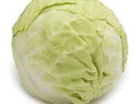 Fresh Organic Cabbage, 1 Pc