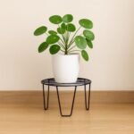 ecofynd Flora Metal Planter Stand for Living Room, Plant Stand for Balcony, Flower Pot Holder for Indoor & Outdoor, Garden Rack for Patio Plants, Pack of 1, (Black)