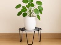 ecofynd Flora Metal Planter Stand for Living Room, Plant Stand for Balcony, Flower Pot Holder for Indoor & Outdoor, Garden Rack for Patio Plants, Pack of 1, (Black)