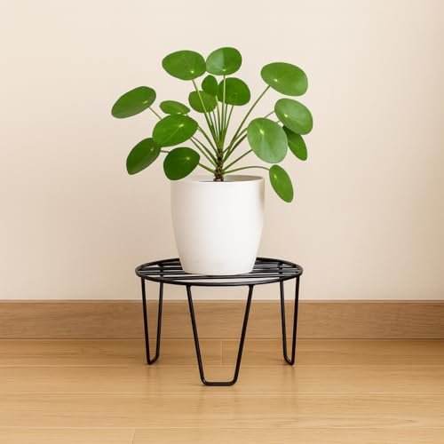 ecofynd Flora Metal Planter Stand for Living Room, Plant Stand for Balcony, Flower Pot Holder for Indoor & Outdoor, Garden Rack for Patio Plants, Pack of 1, (Black)