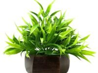 fancymart Artificial Bamboo Leaves Plant in Wood Hexagon Pot - 20cm Height - Home & Office Decor Elegant Potted Plant for Tabletop Enhancement
