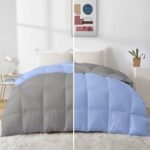 Razzai 500 GSM Winter Comforter Premium Collection Quilted Revesible Comforter (90" x 90" Inches/228cm x 228cm) - Queen Size | Silver/Sky Blue