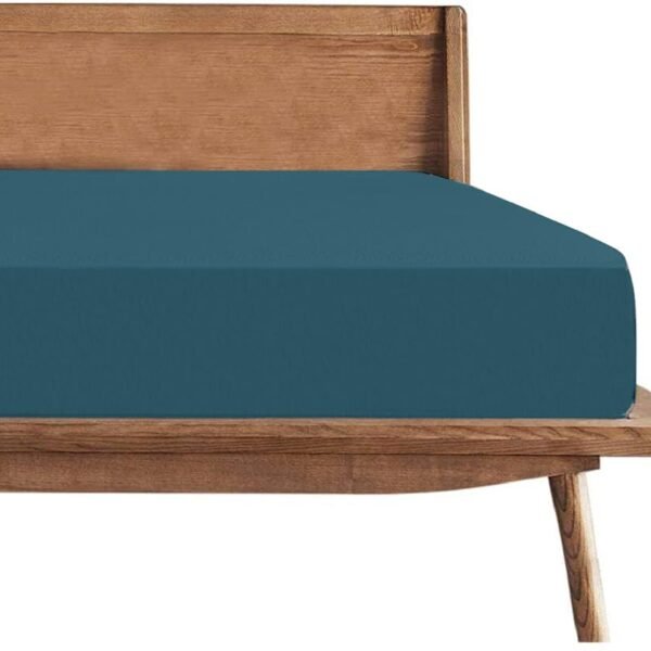 Trance Cotton Feel Terry Ultra Soft Waterproof Mattress Protector | Breathable - Hypoallergenic Mattresses Cover (72x48 inch | 6x4 feet, Teal - Pack of 1)