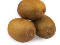 Fresh Kiwi Green, 3 Pc Pack