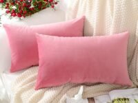 MERNETTE Pack of 2, Velvet Soft Decorative Rectangle Throw Pillow Cover Cushion Covers Pillow case, Home Decor Decorations for Sofa Couch Bed Chair 12x20 Inch/30x50 cm (Pink)