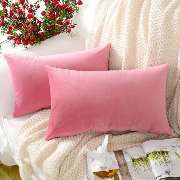MERNETTE Pack of 2, Velvet Soft Decorative Rectangle Throw Pillow Cover Cushion Covers Pillow case, Home Decor Decorations for Sofa Couch Bed Chair 12x20 Inch/30x50 cm (Pink)